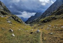 Rafał Król na festiwalu Travenalia w Krakowie 15-16 listopada 2025